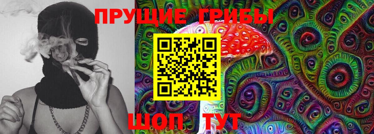 Галлюциногенные грибы Psilocybe Ногинск