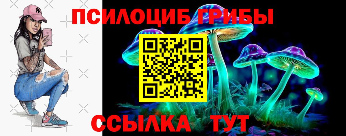 Галлюциногенные грибы Magic Shrooms  Вход с VPN  Ногинск 